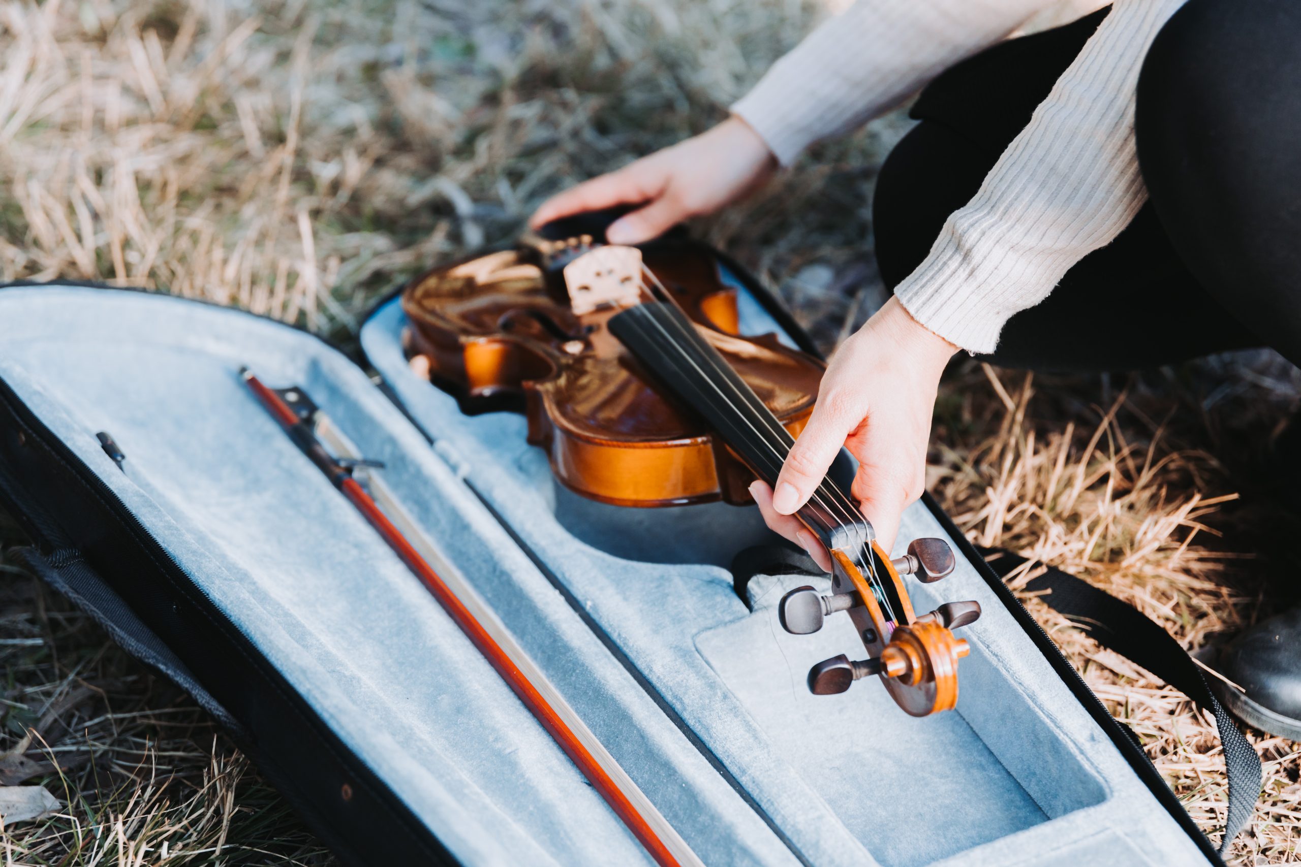 Best Violin Cases of 2025: Ultimate Buyer's Guide | Crossrock